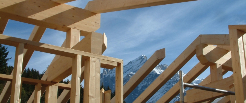 Dřevěný krov pro dům - který je pro vás nejvhodnější?